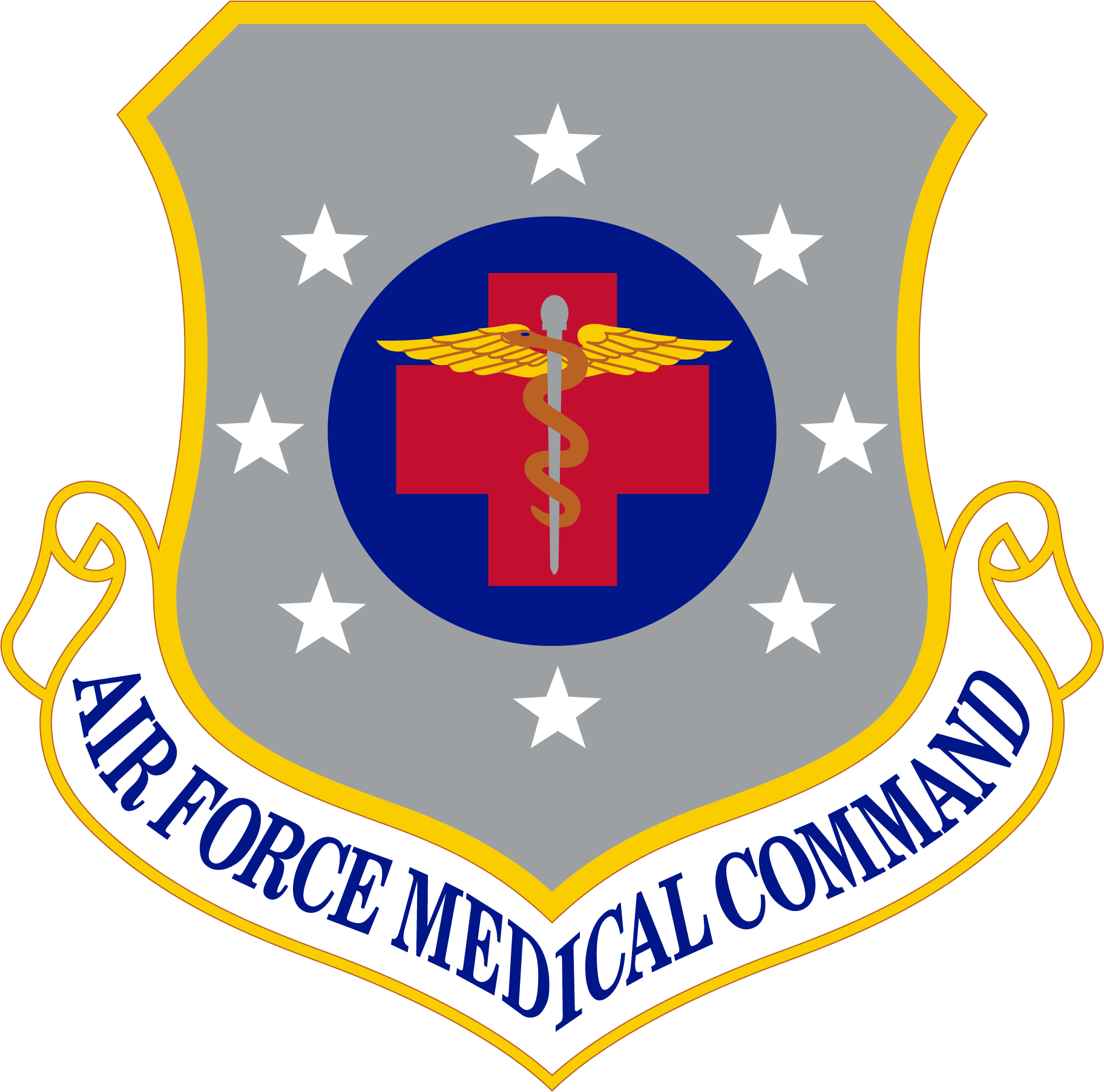Graphic of Air Force Medical Command Logo Graphic of Air Force Medical Command Logo