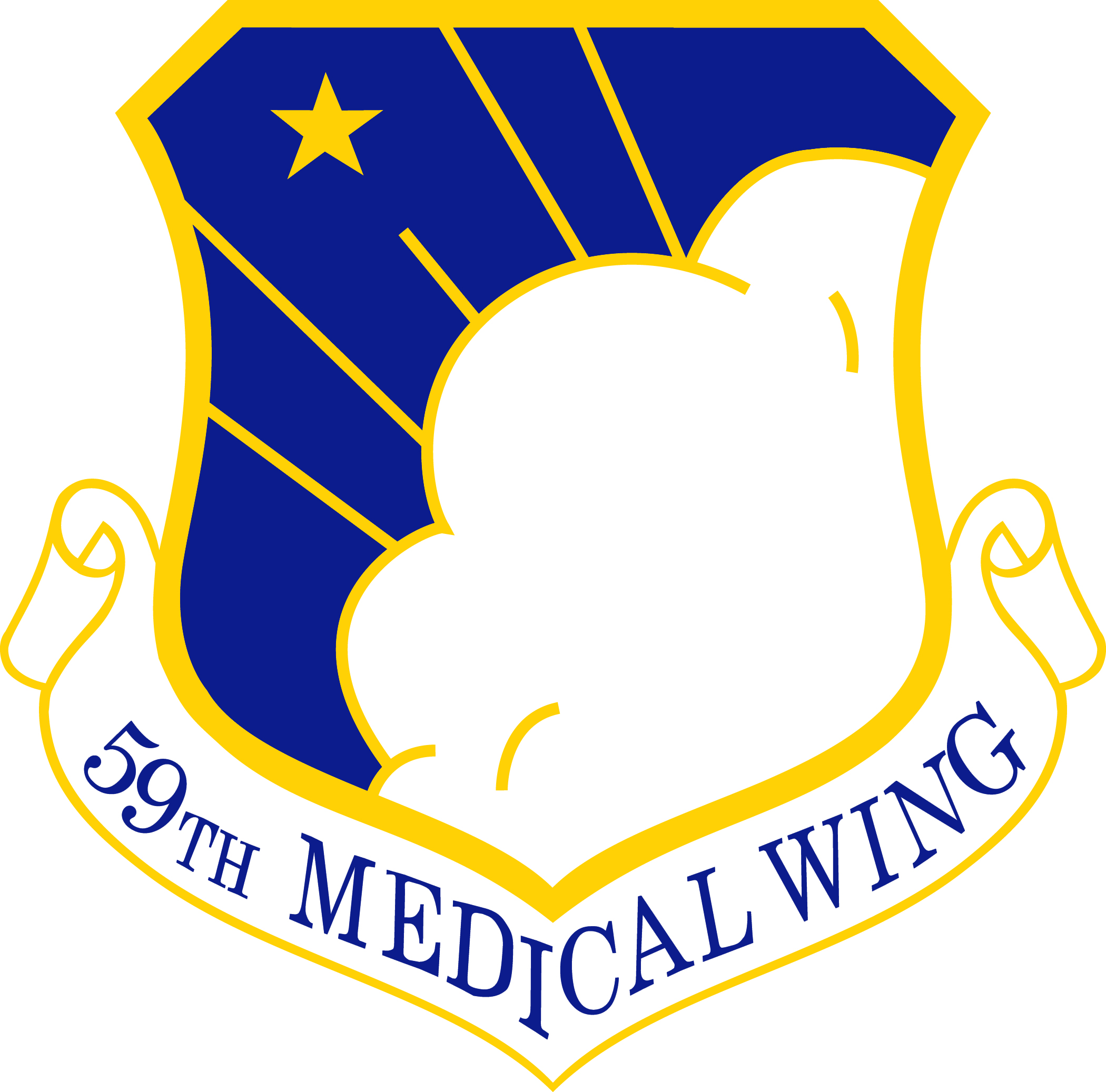 59th Medical Wing Emblem