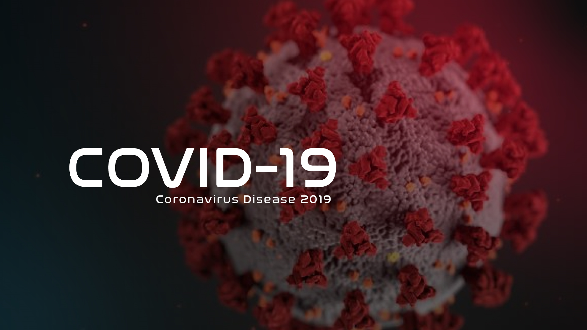 Image of the coronavirus